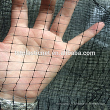 HDPE anti-bird net for protecting apple tree